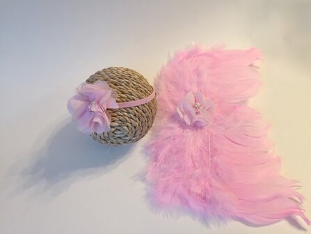    Engelvleugels roze + Haarband Newborn 