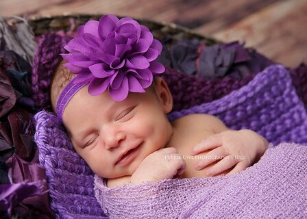 Haarband Craft Chiffon Flower Purple