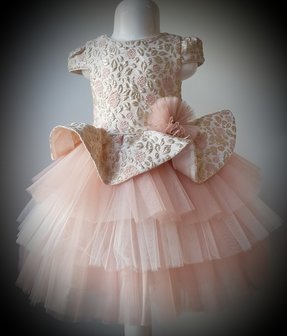 Feestjurk Tule Meisje Roze Goud mouw Brocant