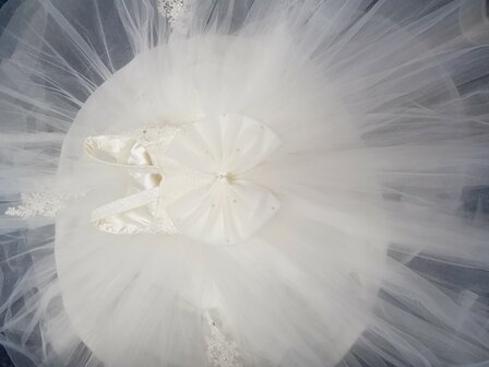 Communie jurk / Bruiloft meisje jurk lace Alina Luxe Ivoor