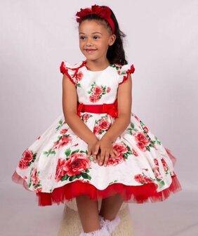 Kruik programma Doodt Tule jurk Rode Roos - Spaanse Kinderkleding voor een betaalbare prijs -  meetje-pettiskirts