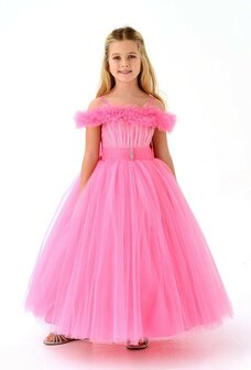 prinsessen jurk roze lang