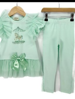 Setje legging met tuniek mint 