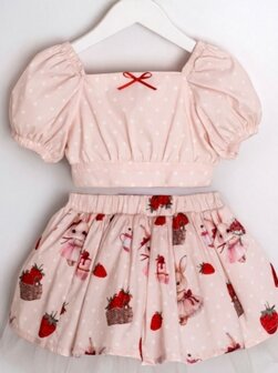 Setje stawberry 2delig Girls blouse  en rok  