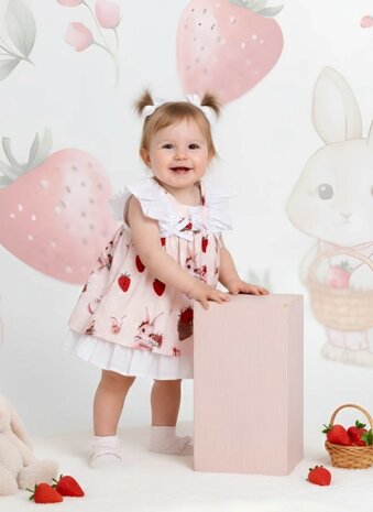 Baby jurkje aardbei en konijn