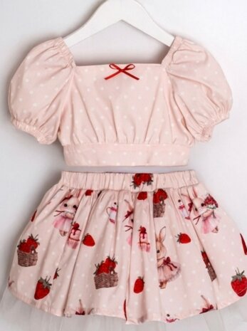 Setje stawberry 2delig Girls blouse  en rok  